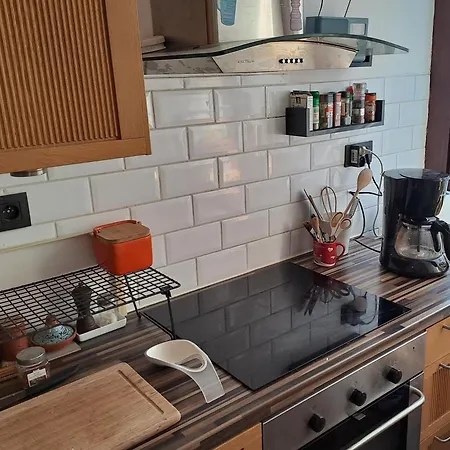 Apartament Cozy One-bedroom With Extra Sofa Bed In The Center Of T128